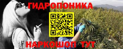 скорость Будённовск